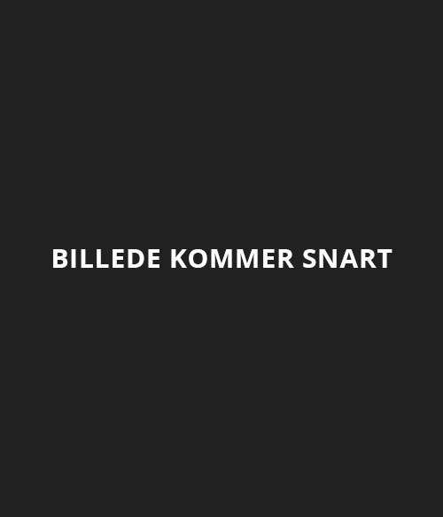 Anette Isted